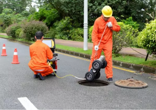 918������(�й���)�ٷ���վ