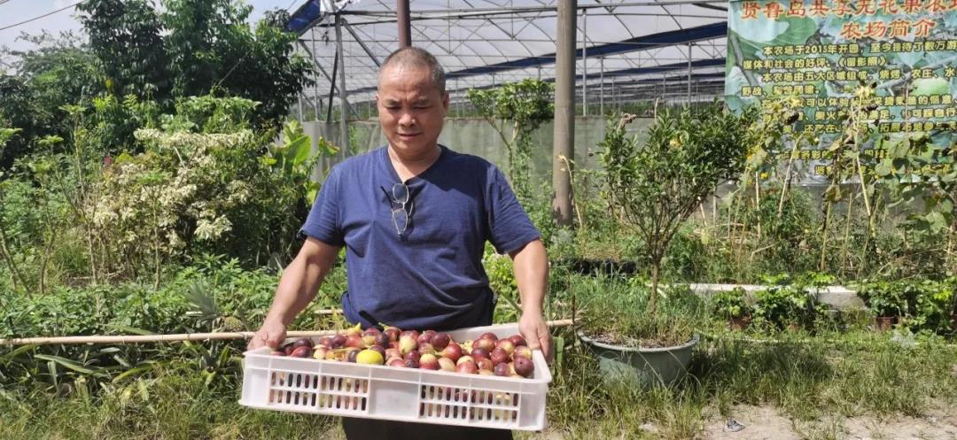 918������(�й���)�ٷ���վ