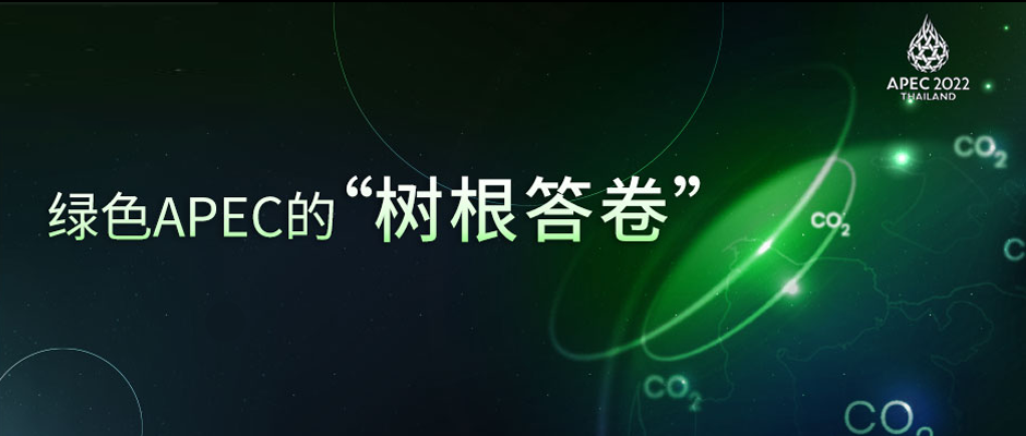 ��ɫ�캽�����������й�������������������APEC���