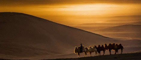 ��������: �������ձ������ޣ��������������ҵ�����������ڶ��������ߡ�����������������