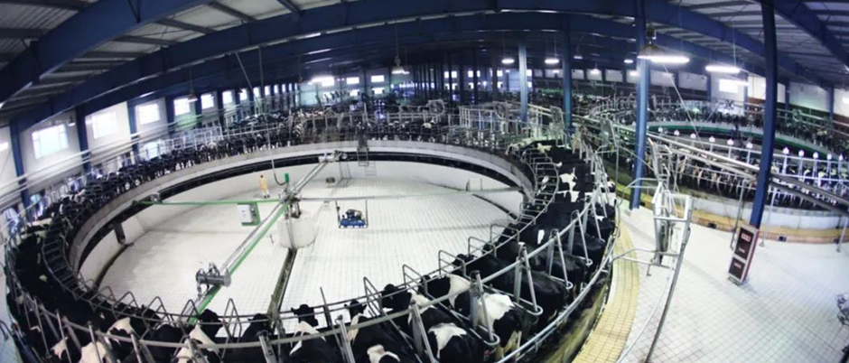 ��ƵAI�Ӿ�����