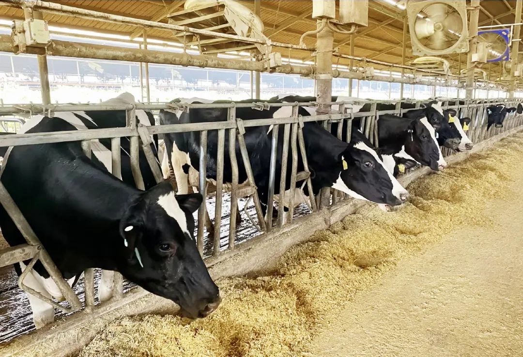 918������(�й���)�ٷ���վ