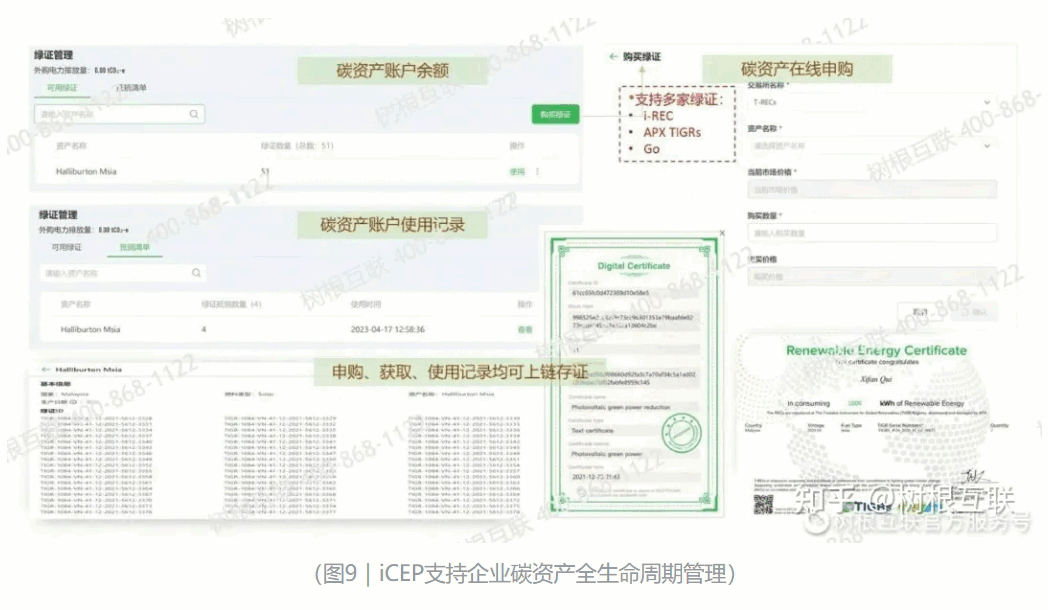 ˫̼����ƽ̨